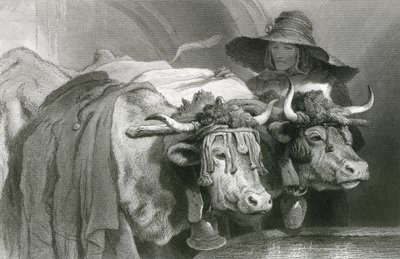 Okser ved tanken, Genève (gravering) af Edwin (after) Landseer