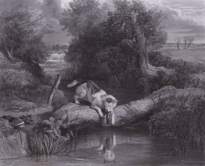 Hunden og skyggen (gravering) af Edwin (after) Landseer