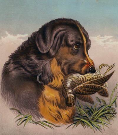 The Retriever (farvelitografi) af Edwin (after) Landseer