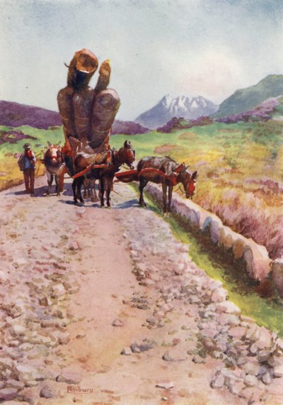 Korsika: Mules tegner træ (farve litho) af Edwin Arthur Norbury