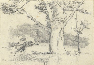 Nr. Lyndhurst, august 1871 af Edwin Austin Abbey