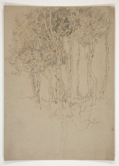 Skitse af en lund af træer af Edwin Austin Abbey