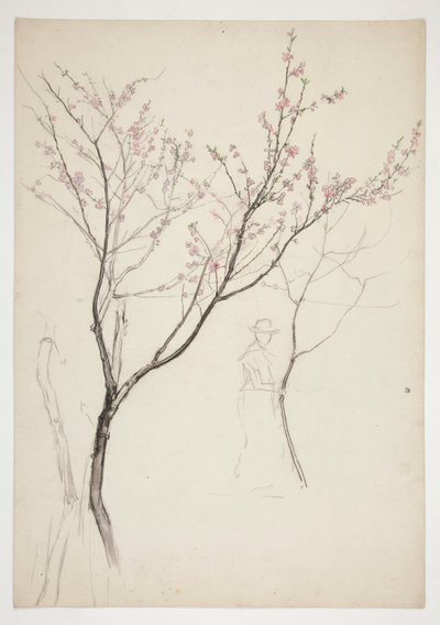 Studie af en figur under et blomstrende træ af Edwin Austin Abbey