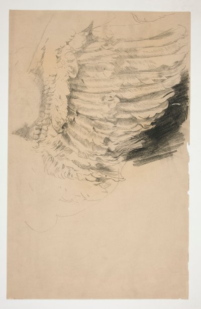 Studie af en fløj, for af Edwin Austin Abbey
