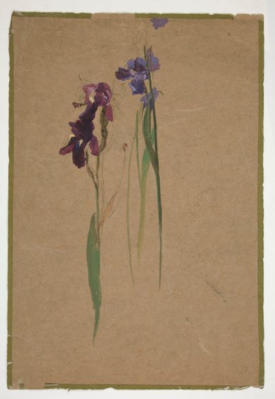 Undersøgelse af iris af Edwin Austin Abbey