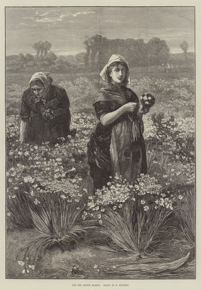Til London Market (gravering) af Edwin Buckman
