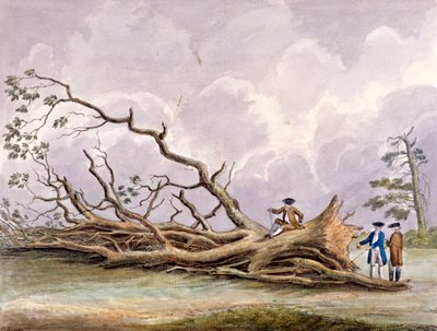 Træer beskadiget af en storm den 15. oktober, Roehampton, London, 1780 af Edwin Edwards