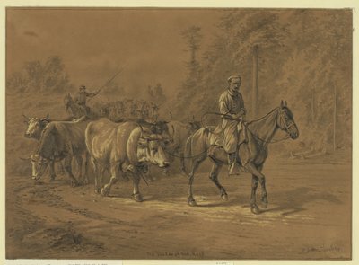 Lederen af flokken Abstrakt/medium: 1 tegning. af Edwin Forbes