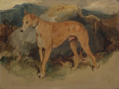 En hjortehund, 1826. af Edwin Landseer