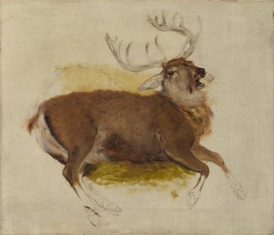 Døende hjort, ca. 1830. af Edwin Landseer