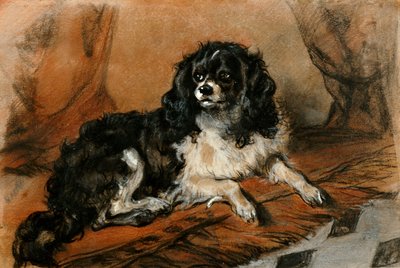 En King Charles Spaniel af Edwin Landseer