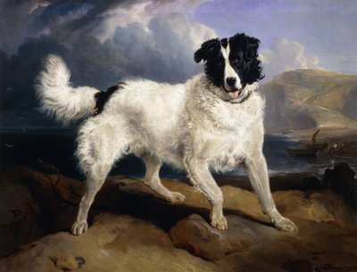 Et portræt af Neptun, 1824 af Edwin Landseer