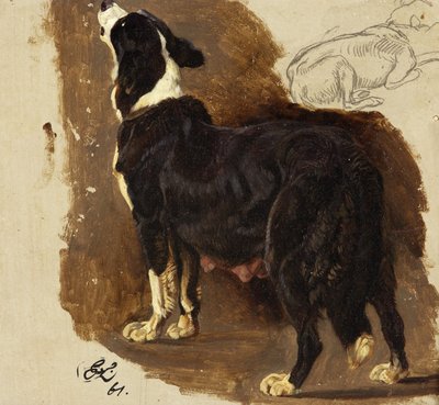 Collie Bitch (olie og blyant på kort) af Edwin Landseer