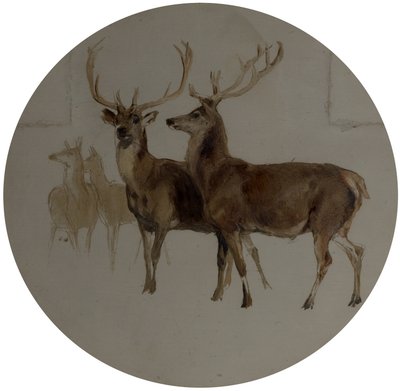 Deer in a Landscape (Studier of Deer) af Edwin Landseer