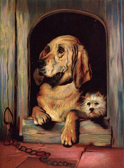 Værdighed og uforskammethed af Edwin Landseer