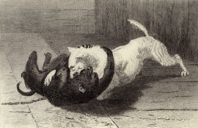 Eksempel X, hundekampe med abe af Edwin Landseer