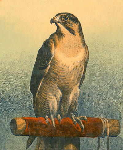 Falk af Edwin Landseer