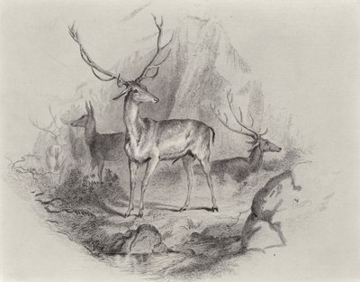 I Glen af Edwin Landseer