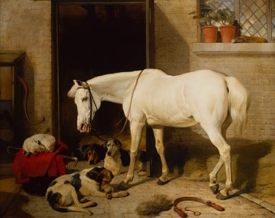 Scarbro, an Old Cover Hack (olie på lærred) af Edwin Landseer