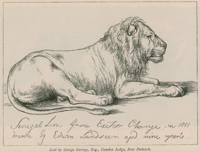 Senegal Lion fra Exeter Change af Edwin Landseer