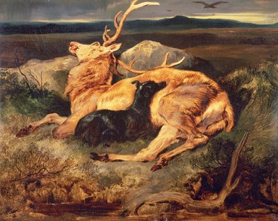 Hjort af Edwin Landseer