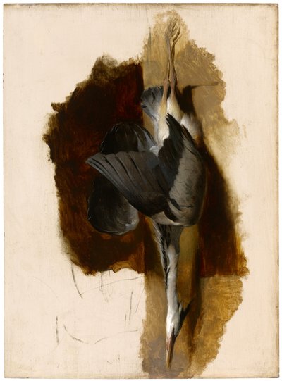 Studie af en død hejre, ca. 1832-33 af Edwin Landseer