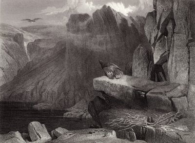 Ørnereden af Edwin Landseer