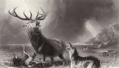 Hjorten ved bugten af Edwin Landseer