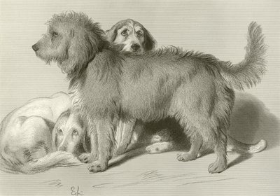 De tre hunde af Edwin Landseer