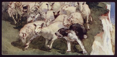 Bobtailed fårehund og flok på klipperne (farve litho) af Edwin Noble