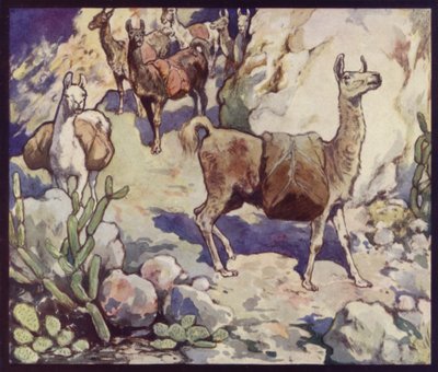Lamaer i Andesbjergene (farve litho) af Edwin Noble