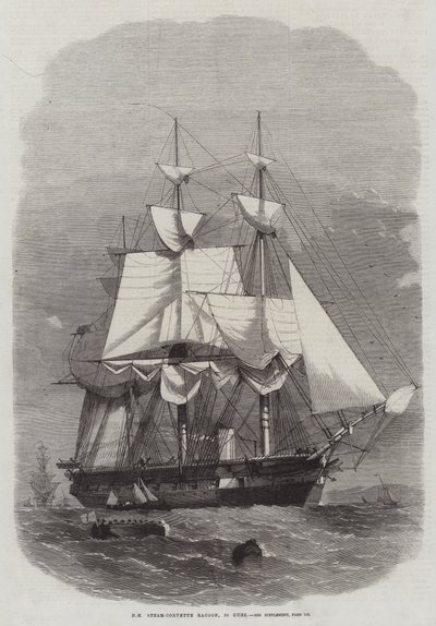 HM Steam-Corvette Racoon, 22 kanoner af Edwin Weedon