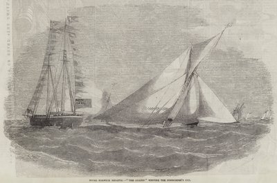 Royal Harwich Regatta, Amazon vinder Commodore