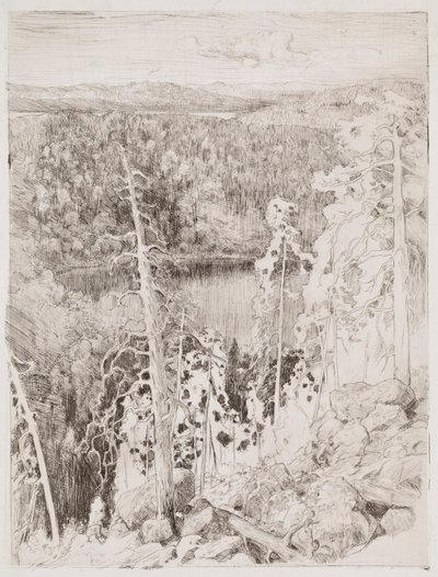 Landskab fra Koli; Skovlandskab fra Räsävaara af Eero Järnefelt
