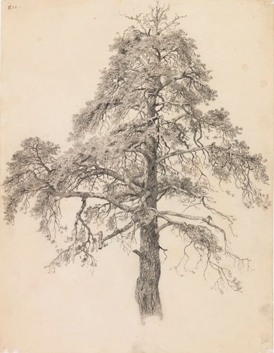 Fyrretop af Eero Järnefelt