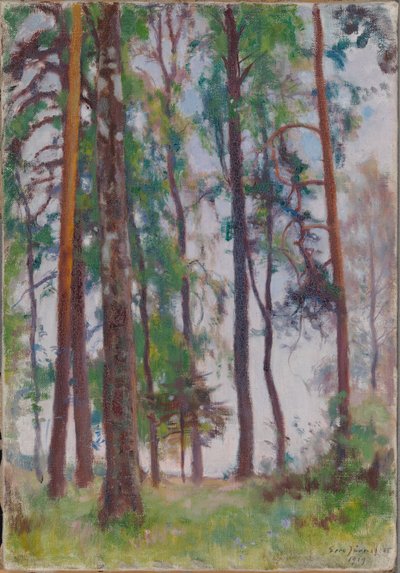 Pines af Eero Järnefelt