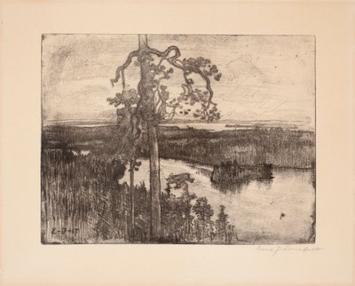 Uden titel af Eero Järnefelt