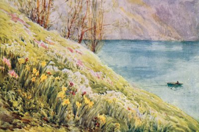 Schweiz af Effie Jardine