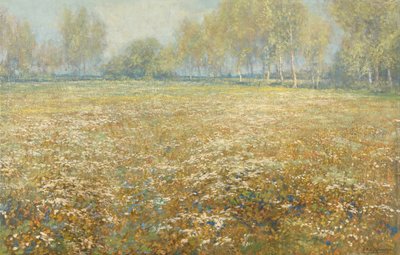 Eng i blomst af Egbert Rubertus Derk Schaap