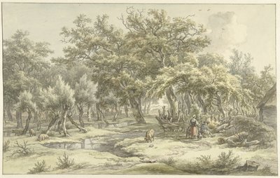 Landskab nær Eext (Drenthe) af Egbert van Drielst