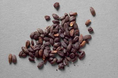 Husks of Emmer, fra Fayum af Egyptian