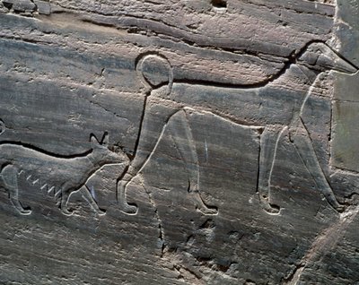 Et par hunde, relief fra indgangen, Sarenput II