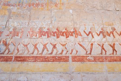 Basreliefudskæring af Hatshepsuts rejse til landet Punt (Somalia), Hatshepsut-templet i Deir Al Bahari, Luxor, Egypten (foto) af Egyptian 18th Dynasty