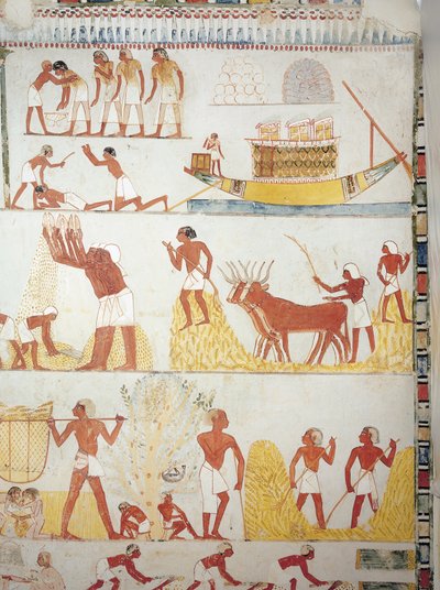 Båd og scener med høst, indsamling, transport og forarbejdning af korn, fresco, sydfløj, tværgående kammer, Theban Tomb TT69, Sheikh Abd el-Qurna, Theben (Unescos verdensarvsliste af Egyptian 18th Dynasty