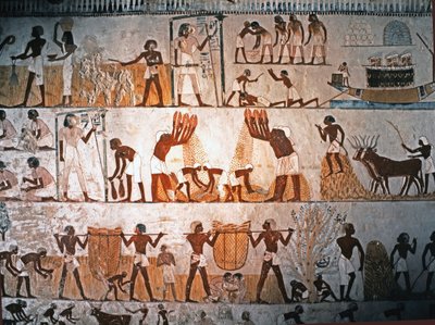 EGYPTISK KUNST: Høstscene. Vægmaleri i Mennas grav i Elwe..., ca. 1400 f.Kr (kalksten) af Egyptian 18th Dynasty