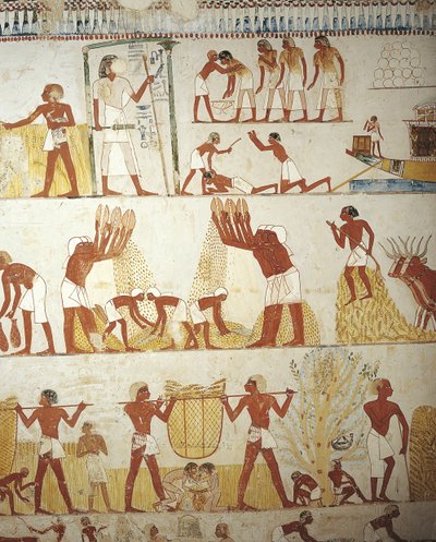 Egypten, Theben, Luxor, Sheikh 