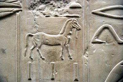Egyptisk antikvitet: repræsentation af en hest. Lavt relief af Vizir Ramoses grav (18. dynasti). Luxor, Theben, Ægyptens Dal af Egyptian 18th Dynasty
