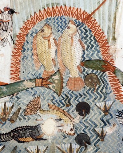 Fisk, detaljer fra scenen for jagt og fiskeri i marsken, fresko, nordvæg, langsgående kammer, Theban Tomb TT69, Sheikh Abd el-Qurna, Theben (Unescos verdensarvsliste af Egyptian 18th Dynasty
