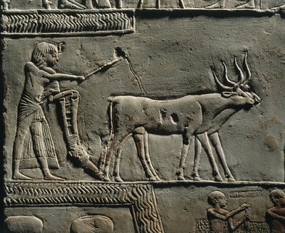 Horemheb pløjer jorden i Iaru-marken. Relief fra Horemhebs grav i Saqqara, detalje. af Egyptian 18th Dynasty
