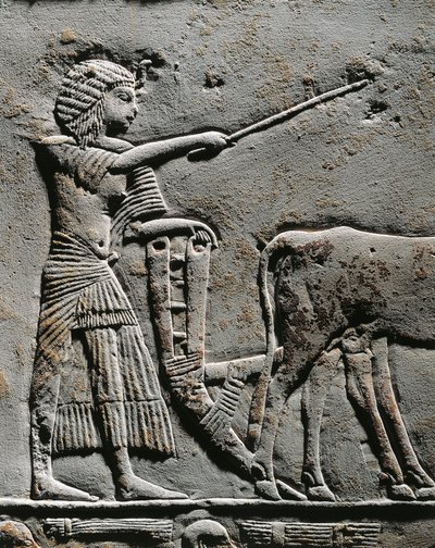 Horemheb pløjer jord i Iaru-marken, relief fra Horemhebs grav i Saqqara, detalje af Egyptian 18th Dynasty